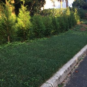 Meet your Posher, Meghan